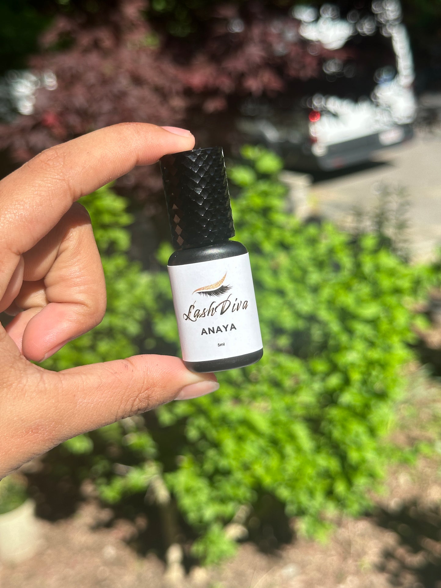 ANAYA GLUE